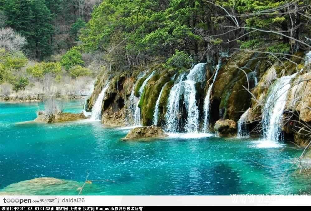 箭竹海.jpg
